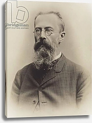 Постер Portrait of Nikolai Rimsky-Korsakov