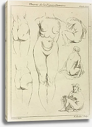 Постер Рубенс Петер (Pieter Paul Rubens) Studies of the female torso, buttocks, and seated figures, dorsal view