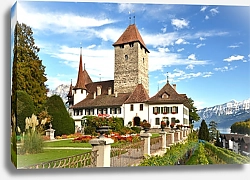 Постер Швейцария. Замок Шпиц летним днем