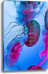 Постер Разноцветные медузы под водой