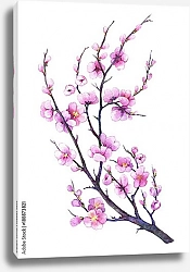 Постер Восточная вишневая ветка с розовыми цветами