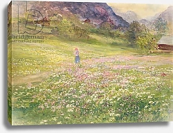 Постер МакВертер Джон Girl in a Field of Poppies