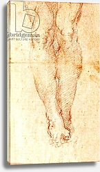 Постер Микеланджело (Michelangelo Buonarroti) Study for a Crucifixion