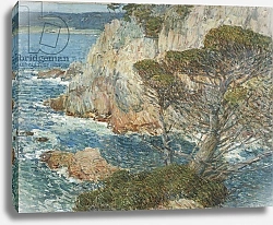Постер Хассам Чильд Point Lobos, Carmel, 1914