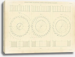 Постер Projections of a Ratchet Wheels and Fluted Columns 1