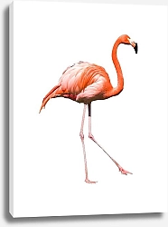 Постер Розовый фламинго на белом фоне