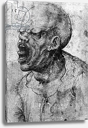 Постер Леонардо да Винчи (Leonardo da Vinci) Portrait of a Man Shouting