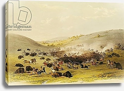 Постер Кэтлин Джордж Buffalo Hunt, Surround, c.1832