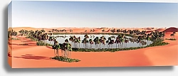 Постер Оазис в пустыне