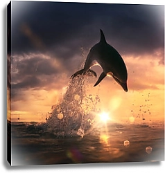 Постер Дельфин выпрыгивает из воды на закате