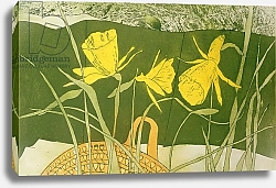 Постер Даниэл Валери (совр) Daffodils