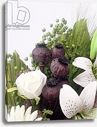 Постер Холландс Норман (совр) Seed pod Bouquet, 1999