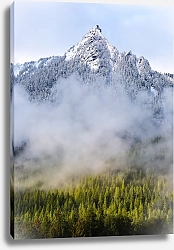 Постер Гора, туман и лес