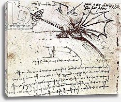 Постер Леонардо да Винчи (Leonardo da Vinci) MS B fol.88v Testing the load tolerance of a wing, 1487-90