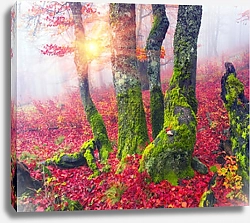 Постер Осень в лесу