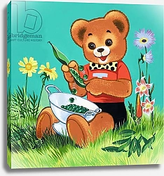 Постер Филлипс Уильям (дет) Teddy Bear 209