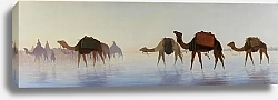 Постер Фрер Шарл Верблюды, пересекающие воду