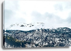 Постер Зимний горный лес