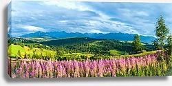 Постер Цветущее поле на фоне гор