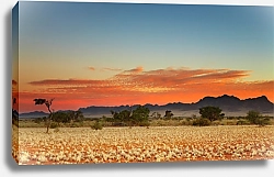 Постер Красочный закат в пустыне Калахари, Намибия