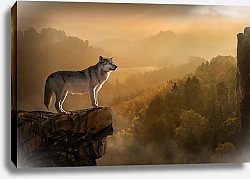 Постер Волк на скале