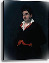 Постер Гойя Франсиско (Francisco de Goya) Портрет дона Рамона Сатуэ