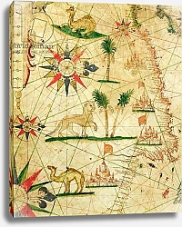 Постер Прунс Пьетро (карты) The North Coast of Africa, from a nautical atlas, 1651
