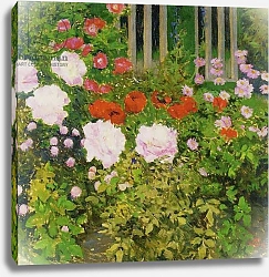 Постер Мозер Коло A rose hedge