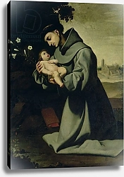 Постер Зурбаран Франсиско St. Anthony of Padua