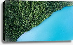 Постер Зеленый лес на берегу голубой реки
