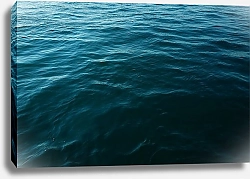 Постер Воды океана