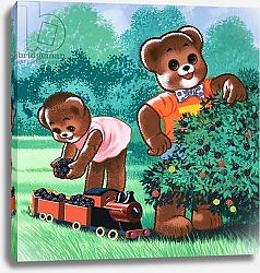 Постер Филлипс Уильям (дет) Teddy Bear 280