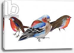 Постер Мониц Коламбус Нэнси (совр) Birds of a feather, 2011, ink on paper