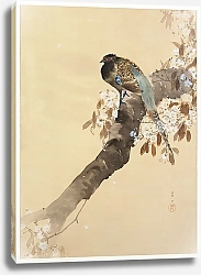 Постер Фазан на ветке сакуры (1887-1945)