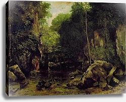 Постер Курбе Гюстав (Gustave Courbet) Le Puits-Noir, Doubs