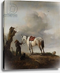 Постер Вауверман Филипс The Grey Horse, c.1646