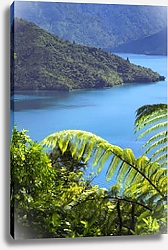 Постер Пейзаж с папоротником, символом Новой Зеландии 