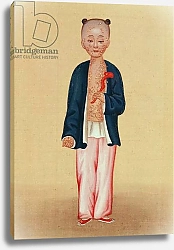 Постер Школа: Китайская 19в. Child with smallpox