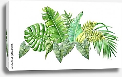 Постер Акварель с тропическими листьями