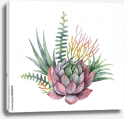 Постер Акварельный букет кактусов и суккулентов