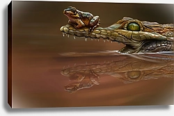 Постер Крокодил и лягушка