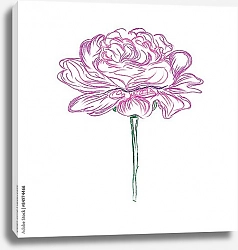 Постер Цветок розового пиона