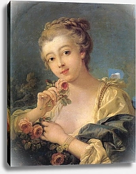 Постер Буше Франсуа (Francois Boucher) Девушка с розами