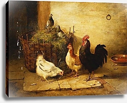 Постер Хант Уолтер Poultry and Pigeons in an Interior, 1881