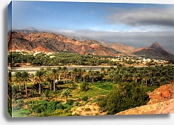 Постер Оазис в пустыне Омана 2