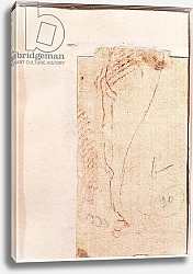 Постер Микеланджело (Michelangelo Buonarroti) Study of Christ's feet nailed to the Cross