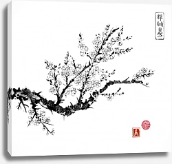 Постер Восточная вишня в цвету на белом фоне
