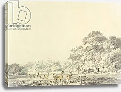 Постер Тернер Уильям (William Turner) Windsor Castle and Park with Deer