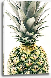 Постер Зеленый ананас
