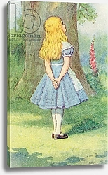 Постер Тениель Джон Alice and the Cheshire Cat, illustration from 'Alice in Wonderland' by Lewis Carroll